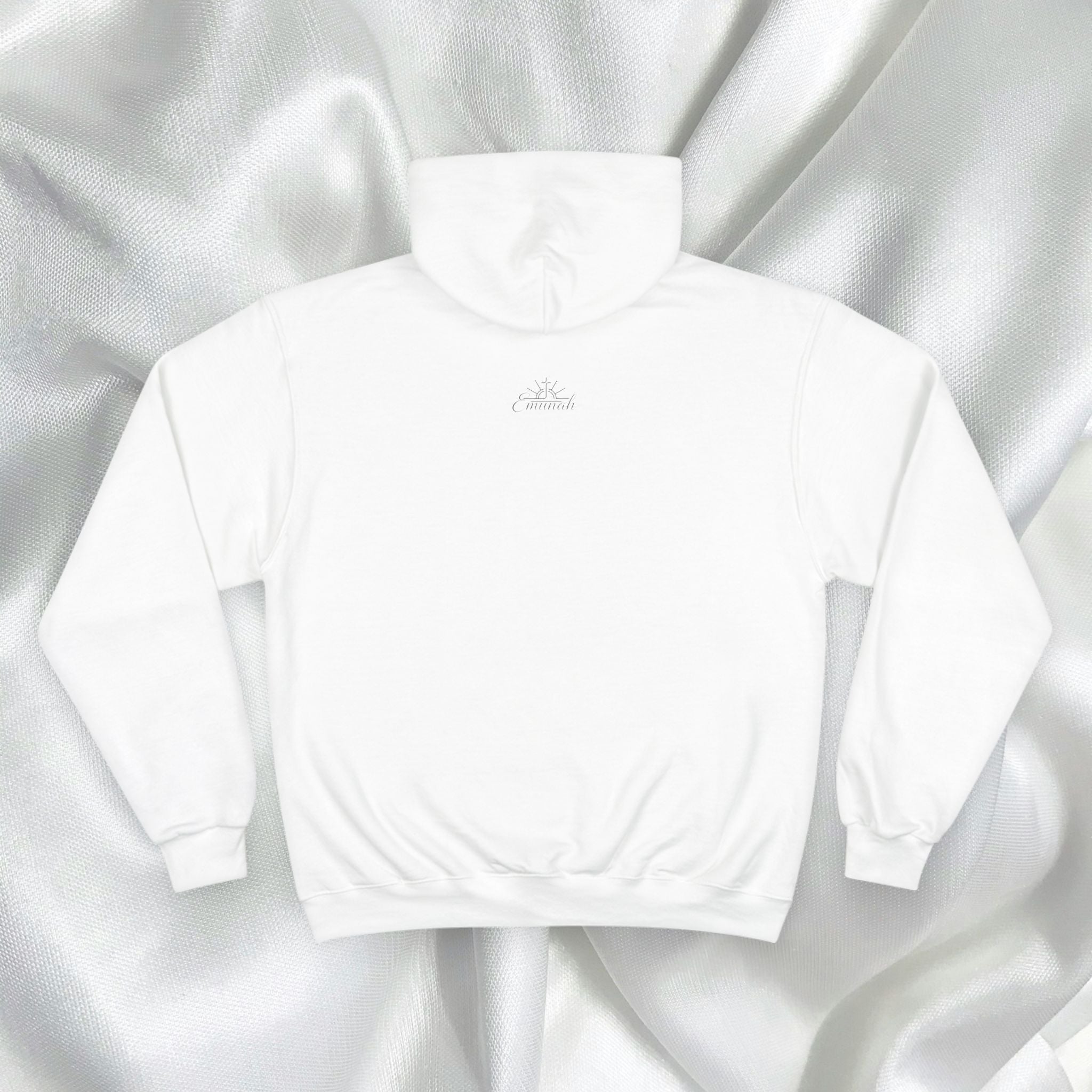 Champion Walk by Faith - Unisex Hoodie